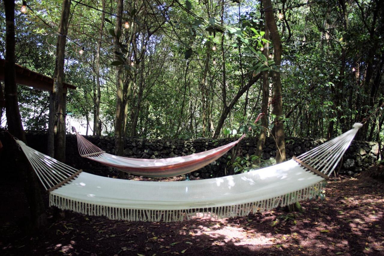 Azores Casa Da Mata Wellness Spa Sao Vicente Ferreira Ngoại thất bức ảnh